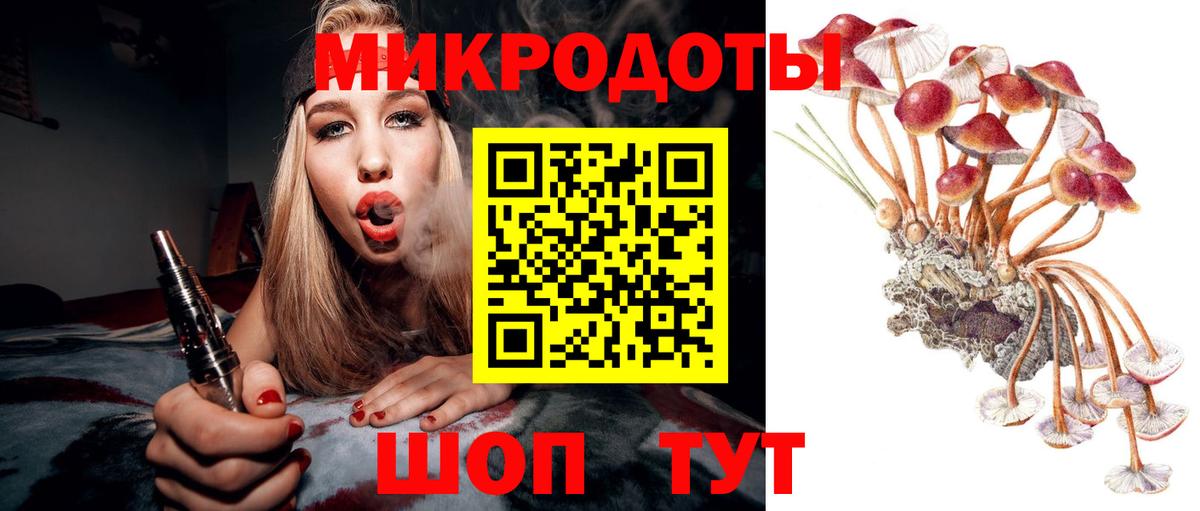 Псилоцибиновые грибы прущие грибы  Вход с VPN  Ахтубинск  Псилоцибиновые грибы мухоморы 